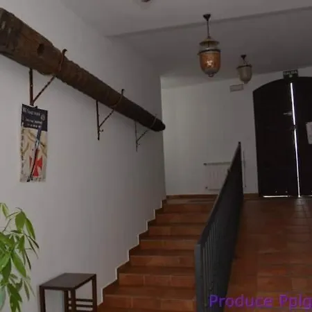 Hotel Rural La De Cigueenas 2*